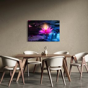 Tablou cu lotus pe apă (90x60 cm)