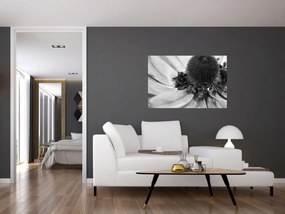 Tablou - Floare în alb-negru (90x60 cm)