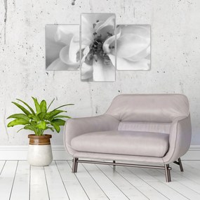 Tablou - Floare,alb-negru (90x60 cm)