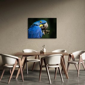 Tablou cu papagal (70x50 cm)