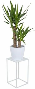 Suport pentru flori 40x24 cm, alb