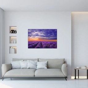 Tablou câmpului cu lavandă (90x60 cm)