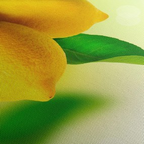Tablou cu lămâi (cu ceas) (90x30 cm)