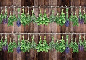 Fototapet - Plante - maro (254x184 cm)