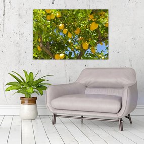 Tablou - Lămâiță (90x60 cm)