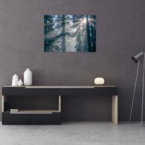 Tablou pe sticlă cu copaci și soarele translucind (70x50 cm)