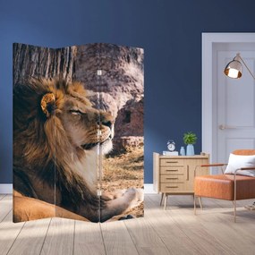 Paravan - Leul dormind (126x170 cm)