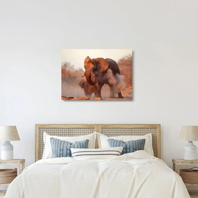 Tablou pe sticlă - Marele elefant african (70x50 cm)