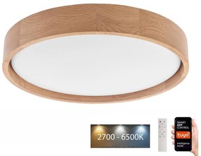 Brilagi - Plafonier MANAROLA SMART LED 24W 230V cu telecomandă Tuya