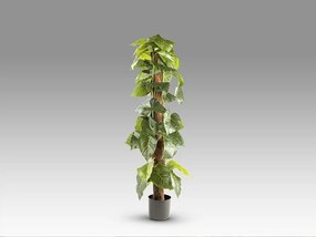 Planta artificiala decorativa Taro, H150