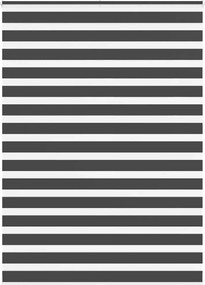 vidaXL Jaluzea tip zebra neagră lățime țesătură 160,9 cm poliester