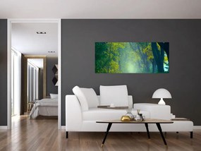 Tablou cu drum dea lungul cu copaci (120x50 cm)