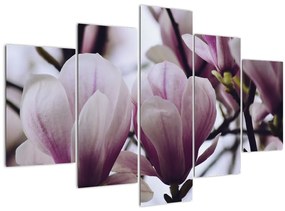 Tablou - Magnolie (150x105 cm)