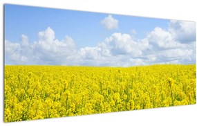 Tablou - Câmp galben (120x50 cm)
