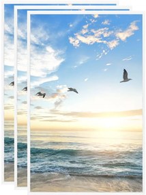 vidaXL Rame foto colaj pentru masă, 3 buc., alb, 10x15 cm, MDF