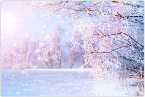 Tablou - Iarna geroasă (90x60 cm)
