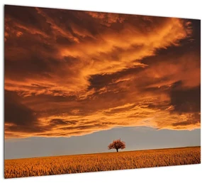 Tablou cu nori (70x50 cm), în 40 de alte dimensiuni noi
