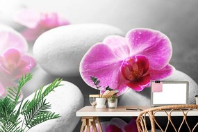 Fototapet flori de orhidee pe pietre