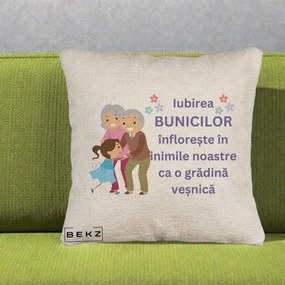 Cadou pentru Bunici - Perna Personalizata Bunicii Iubirea Infloreste Bunici cu Nepoata Colorat, 40x40 cm, Bej Canapea, Husa Detasabila, Perna Inclusa, BEKZ®