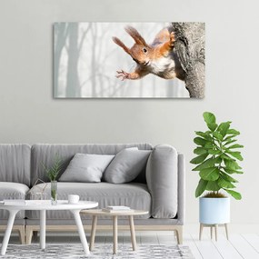Imprimare tablou canvas Veveriţă