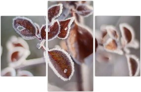 Tablou - Detaliu frunze (90x60 cm)