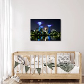 Tablou pe sticlă cu lună plină în grădinile din Singapur (70x50 cm)