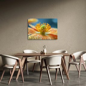 Tablou pe sticlă - Detaliu de floare (70x50 cm)