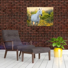 Tablou - Cal alb în poină (70x50 cm)