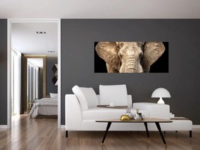 Tablou - Elefant african (120x50 cm)