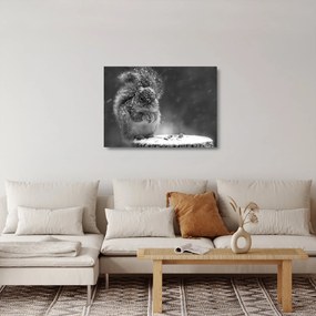 Tablou pe sticlă - Veveriță în timpul iernii (70x50 cm)