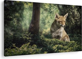 Tablou cu vulpe (90x60 cm)