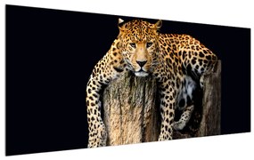 Tablou cu gepard (120x50 cm), în 40 de alte dimensiuni noi