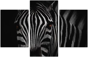 Tablou cu zebră (90x60 cm)