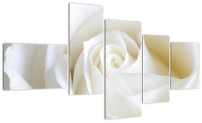 Tablou - trandafiri albi (150x85cm)