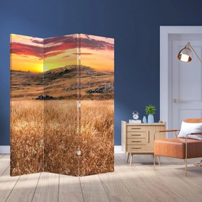 Paravan - Câmp (126x170 cm)