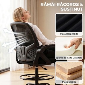 HOMCOM Scaun de Birou Ergonomic din Plasă, cu Suport Lombar și Suport pentru Picioare Reglabil, Cotiere Rabatabile, Negru | Aosom Romania
