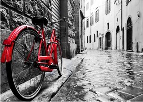 Tablou - Bicicleta roșie pe o stradă pavată (70x50 cm)