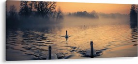 Tablou cu lebăde pe apă în ceață (120x50 cm)