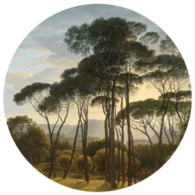 Fototapet circular Old Trees 125 x 125 cm, 2 părți
