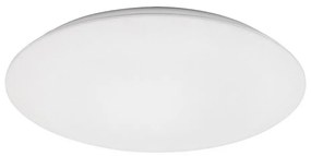 Rabalux RORIK 71124 - Plafonieră LED 24W, 230V, 4000K, 38 cm