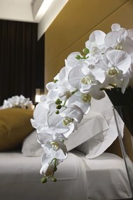 Aranjament floral elegant PHALENO CASCADE 1140969.95