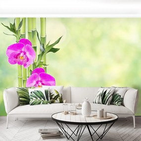 Fototapet Orchid și lemn de bambus