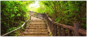 Tablou - Scări în natură (120x50 cm)