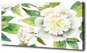 Tablou pe pânză canvas Bujori