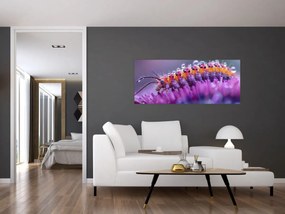 Tablou - Caterpillar (120x50 cm)