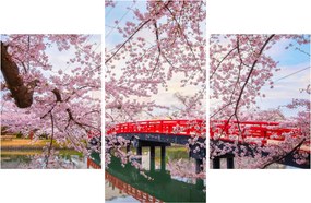 Tablou - Hirosaki, Japonia (90x60 cm)