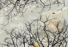 Fototapet - Treetops (147x102 cm)