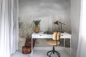 Fototapet, Pale Shore, Rebel Walls