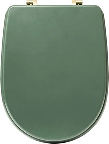 Scaun de toaletă Ficus Duo