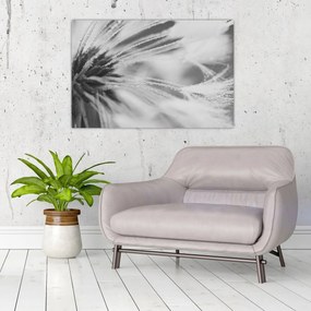 Tablou - Păpădie (90x60 cm)